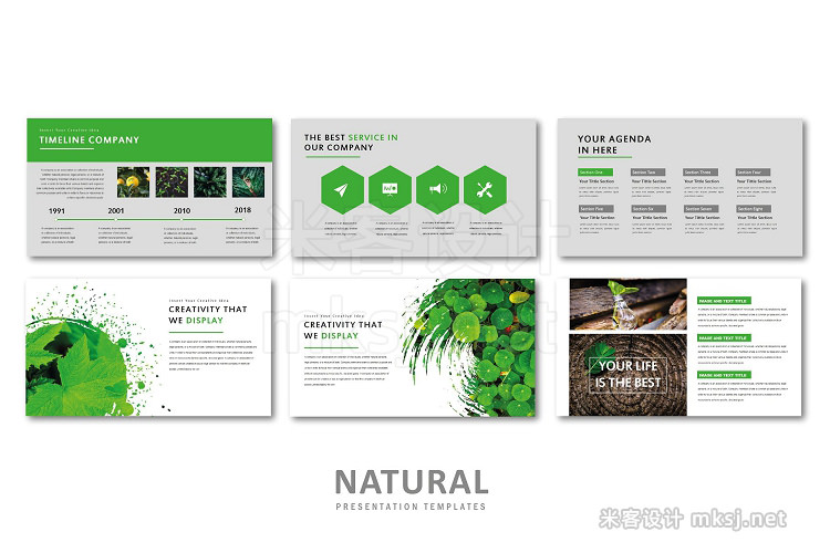 PPT模板 Natural Creative PowerPoint Template