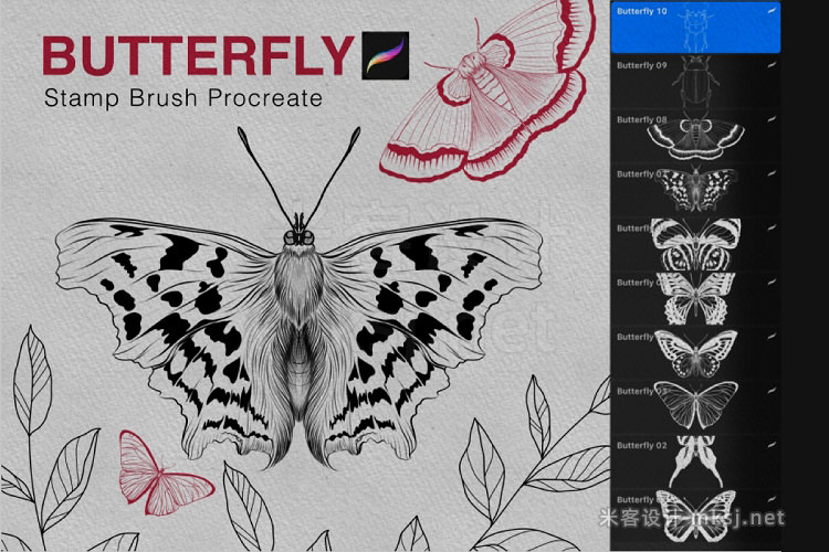 8款艺术蝴蝶procreate笔刷 Butterfly Procreate Stamps Brush