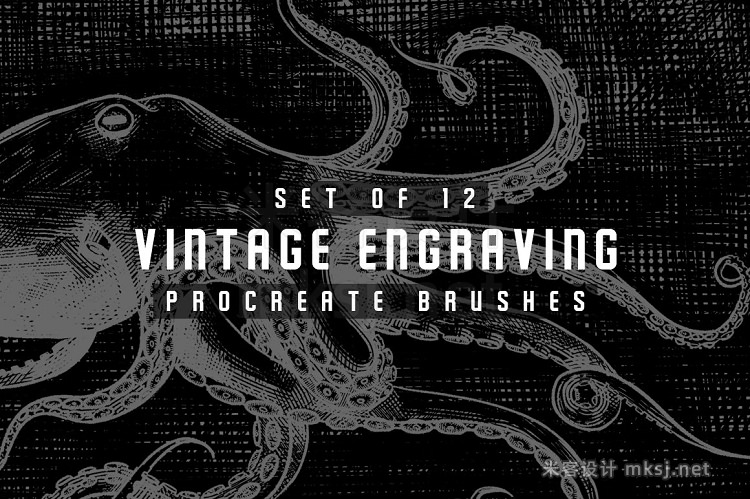 12款复古雕刻Procreate笔刷 Vintage Engraving Procreate Brushes
