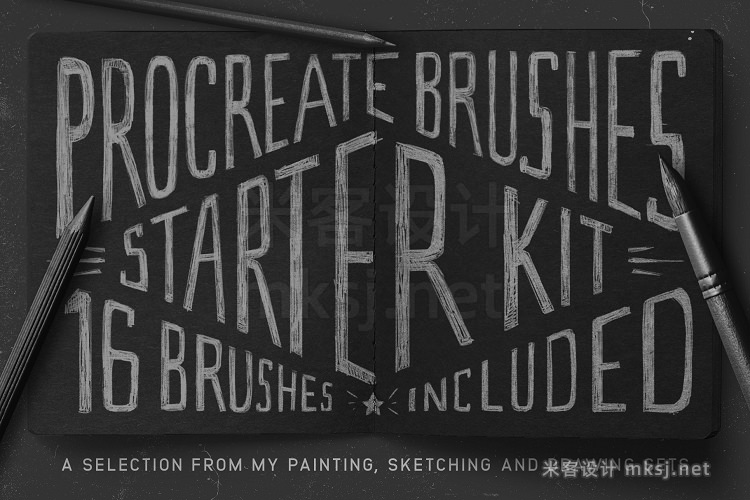 16款铅笔墨水木炭油漆Procreate素描笔刷合集 Procreate Brushes Starter Kit